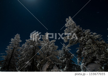 長野県　志賀高原　横手山山頂の星が輝く夜空 133677035