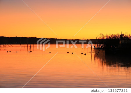 水面に映る朝日 133677831