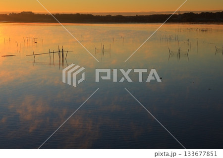 水面に映る朝日 133677851