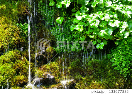 北海道清里町の男鹿の滝源頭 133677883