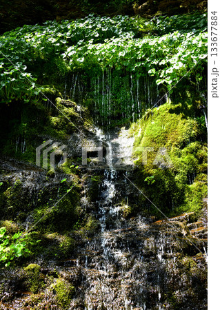 北海道清里町の男鹿の滝源頭 133677884