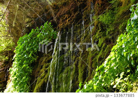 北海道清里町の男鹿の滝源頭 133677885