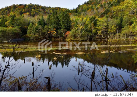北海道清里町の男鹿の滝林道 133678347