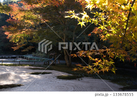 北鎌倉明月院裏庭園 133678555