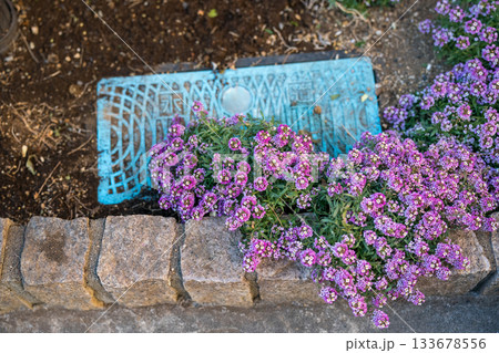 花壇の中にあるメーターボックス 花壇の中にあるメーターボックス 133678556