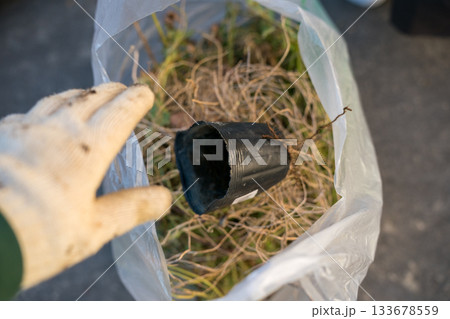 花苗ポットをゴミ袋に捨てる 133678559