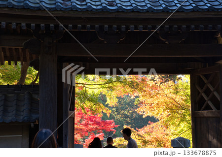 北鎌倉円覚寺 133678875