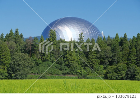 田園地帯から見る福井県立恐竜博物館の恐竜ホール 133679123