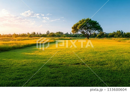 Green grass field lawn with tree and yellow sunlight against blue sky. Green Meadows Beautiful Journey Through Nature Great as a background, web banner Green grass field lawn with tree and yellow sunlight against blue sky. Green Meadows Beautiful Journey Through Nature Great as a background, web banner 133680604