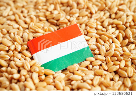 Hungary flag on grain wheat, trade export and economy. Hungary flag on grain wheat, trade export and economy. 133680621