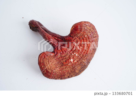 Lingzhi or Reishi mushroom with capsules, organic natural healthy food. Lingzhi or Reishi mushroom with capsules, organic natural healthy food. 133680701