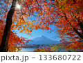 河口湖の紅葉2025 133680722
