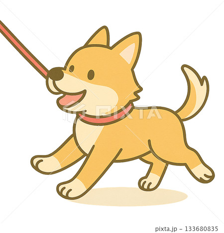 お散歩している柴犬 お散歩している柴犬 133680835