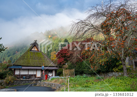 霧のかかった紅葉と茅葺建物 霧のかかった紅葉と茅葺建物 133681012