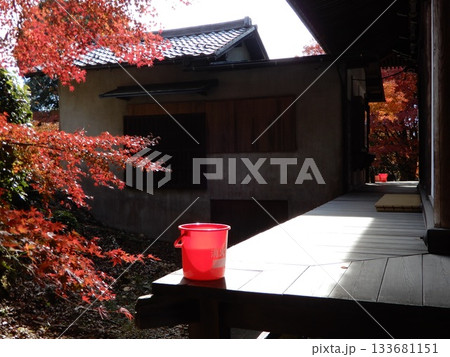 継鹿尾観音　寂光院の消火バケツと紅葉 133681151