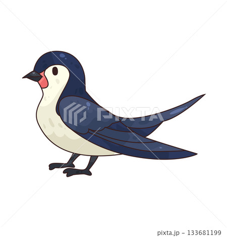 illustration of Bird  133681199