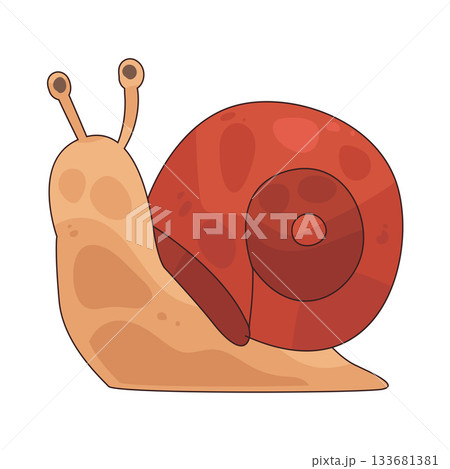 illustration of Snail 133681381