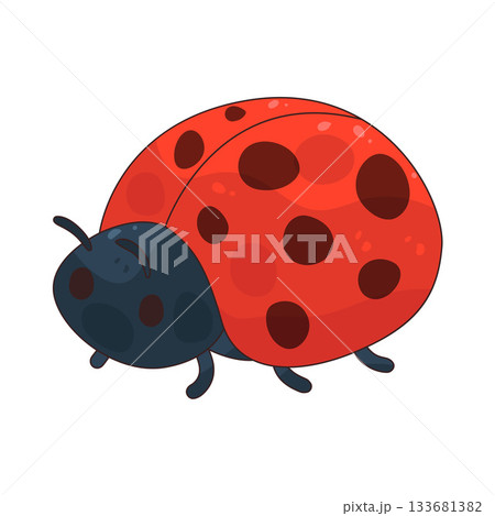 illustration of Ladybug 133681382