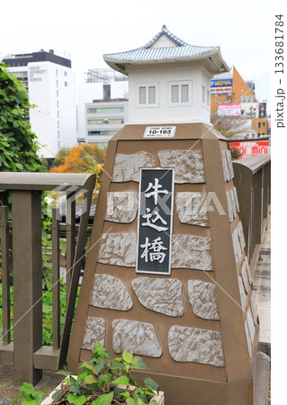 牛込橋と江戸城の石垣　東京都千代田区 133681784