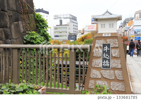 牛込橋と江戸城の石垣　東京都千代田区 133681785