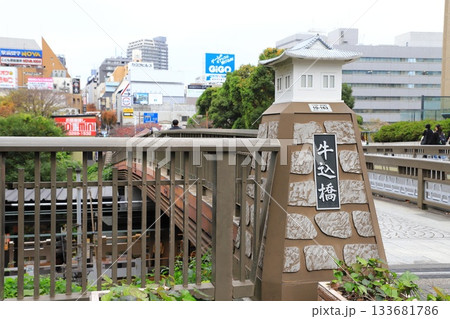 牛込橋と江戸城の石垣　東京都千代田区 133681786