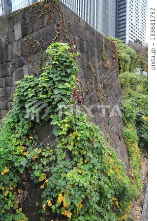 牛込橋と江戸城の石垣 東京都千代田区 牛込橋と江戸城の石垣 東京都千代田区 133681787