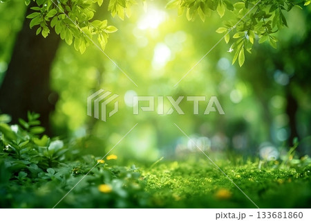 Spring composition. White daisy flowers on orange brown wooden tabletop background. 133681860