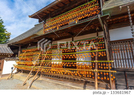 旧高野家住宅「甘草屋敷」 山梨県甲州市の特産品・枯露柿 干し柿 旧高野家住宅「甘草屋敷」 山梨県甲州市の特産品・枯露柿 干し柿 133681967
