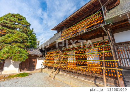 旧高野家住宅「甘草屋敷」 山梨県甲州市の特産品・枯露柿 干し柿 旧高野家住宅「甘草屋敷」 山梨県甲州市の特産品・枯露柿 干し柿 133681969