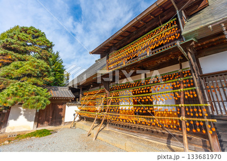 旧高野家住宅「甘草屋敷」  山梨県甲州市の特産品・枯露柿　干し柿 133681970