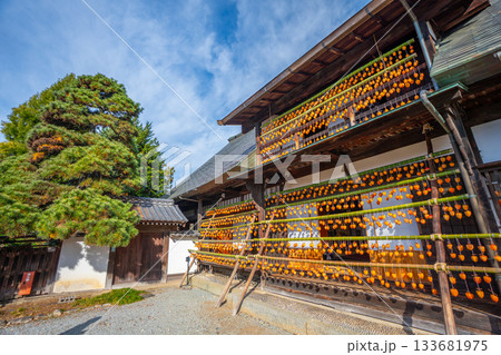 旧高野家住宅「甘草屋敷」  山梨県甲州市の特産品・枯露柿　干し柿 133681975