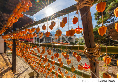 旧高野家住宅「甘草屋敷」  山梨県甲州市の特産品・枯露柿　干し柿 133681980