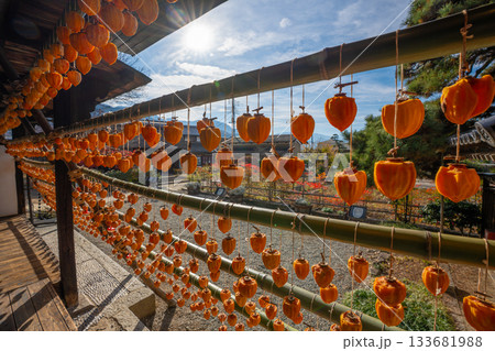 旧高野家住宅「甘草屋敷」  山梨県甲州市の特産品・枯露柿　干し柿 133681988