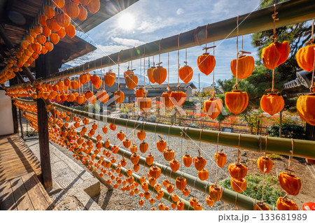 旧高野家住宅「甘草屋敷」 山梨県甲州市の特産品・枯露柿 干し柿 旧高野家住宅「甘草屋敷」 山梨県甲州市の特産品・枯露柿 干し柿 133681989