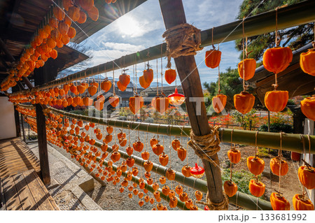 旧高野家住宅「甘草屋敷」  山梨県甲州市の特産品・枯露柿　干し柿 133681992