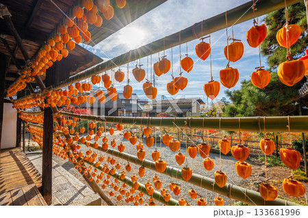 旧高野家住宅「甘草屋敷」  山梨県甲州市の特産品・枯露柿　干し柿 133681996