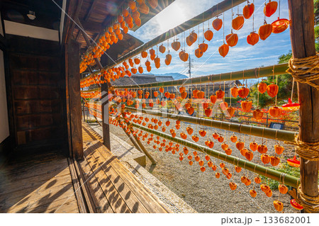 旧高野家住宅「甘草屋敷」 山梨県甲州市の特産品・枯露柿 干し柿 旧高野家住宅「甘草屋敷」 山梨県甲州市の特産品・枯露柿 干し柿 133682001