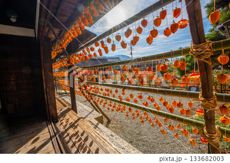 旧高野家住宅「甘草屋敷」 山梨県甲州市の特産品・枯露柿 干し柿 旧高野家住宅「甘草屋敷」 山梨県甲州市の特産品・枯露柿 干し柿 133682003