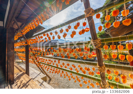 干し柿　柿　柿のカーテン 133682006