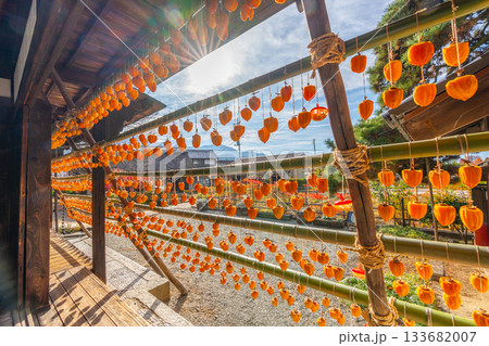 旧高野家住宅「甘草屋敷」  山梨県甲州市の特産品・枯露柿　干し柿 133682007