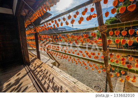 旧高野家住宅「甘草屋敷」  山梨県甲州市の特産品・枯露柿　干し柿 133682010