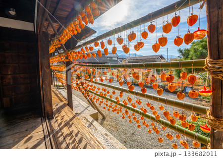旧高野家住宅「甘草屋敷」  山梨県甲州市の特産品・枯露柿　干し柿 133682011