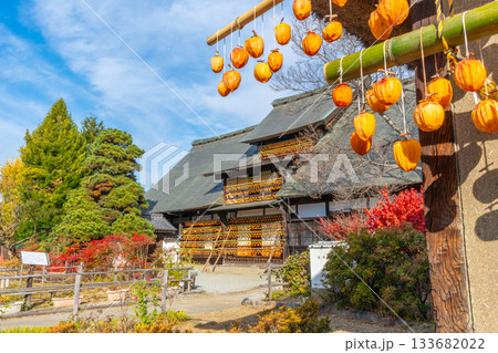 旧高野家住宅「甘草屋敷」 山梨県甲州市の特産品・枯露柿 干し柿 旧高野家住宅「甘草屋敷」 山梨県甲州市の特産品・枯露柿 干し柿 133682022