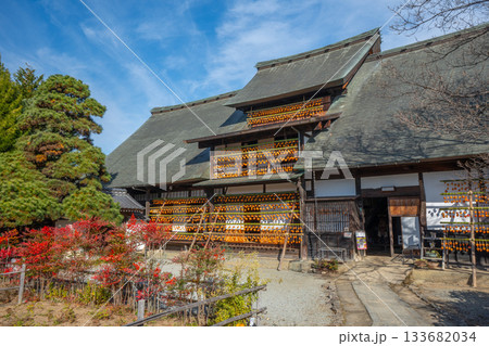 旧高野家住宅「甘草屋敷」 山梨県甲州市の特産品・枯露柿 干し柿 旧高野家住宅「甘草屋敷」 山梨県甲州市の特産品・枯露柿 干し柿 133682034