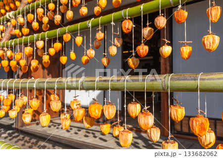 旧高野家住宅「甘草屋敷」 山梨県甲州市の特産品・枯露柿 干し柿 旧高野家住宅「甘草屋敷」 山梨県甲州市の特産品・枯露柿 干し柿 133682062
