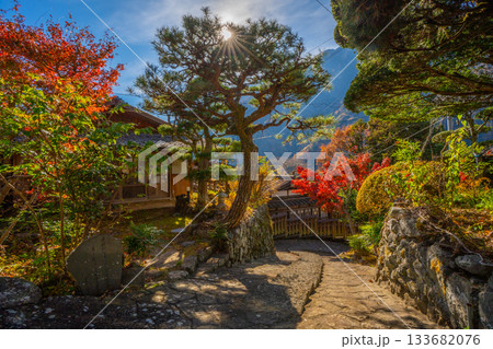 赤沢宿 紅葉 山梨県 早川町 赤沢宿 紅葉 山梨県 早川町 133682076