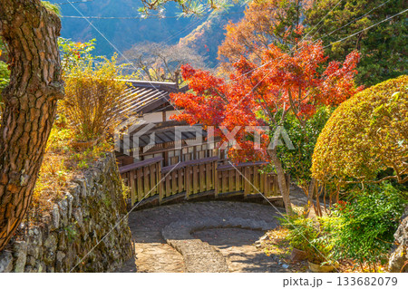 赤沢宿 紅葉 山梨県 早川町 赤沢宿 紅葉 山梨県 早川町 133682079