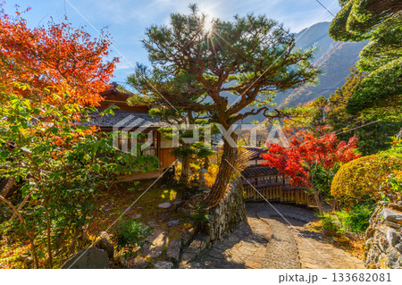 赤沢宿 紅葉 山梨県 早川町 赤沢宿 紅葉 山梨県 早川町 133682081