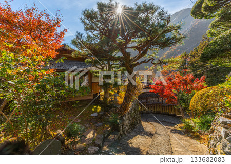 赤沢宿 紅葉 山梨県 早川町 赤沢宿 紅葉 山梨県 早川町 133682083
