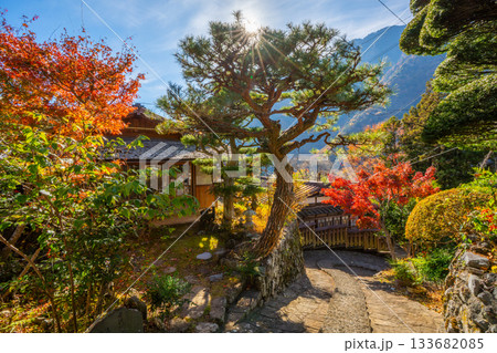 赤沢宿 紅葉 山梨県 早川町 赤沢宿 紅葉 山梨県 早川町 133682085